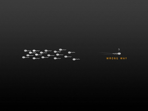 531577 (a): :1600x1200